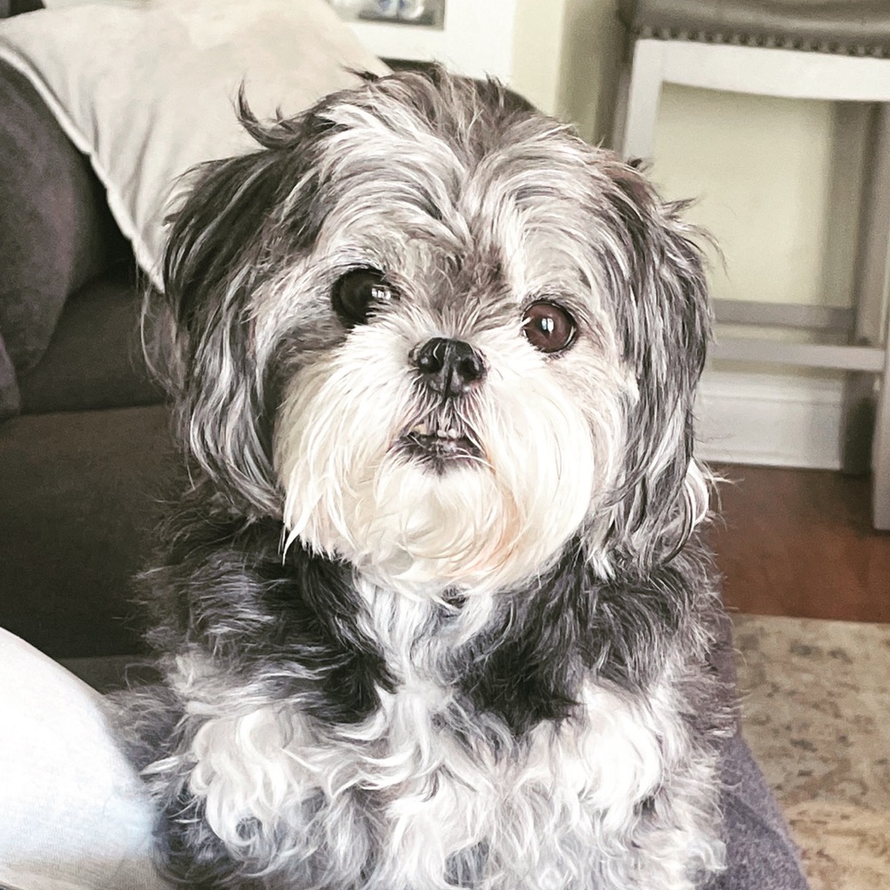 The_green_moth This Listing To Get Notified When … - image 6